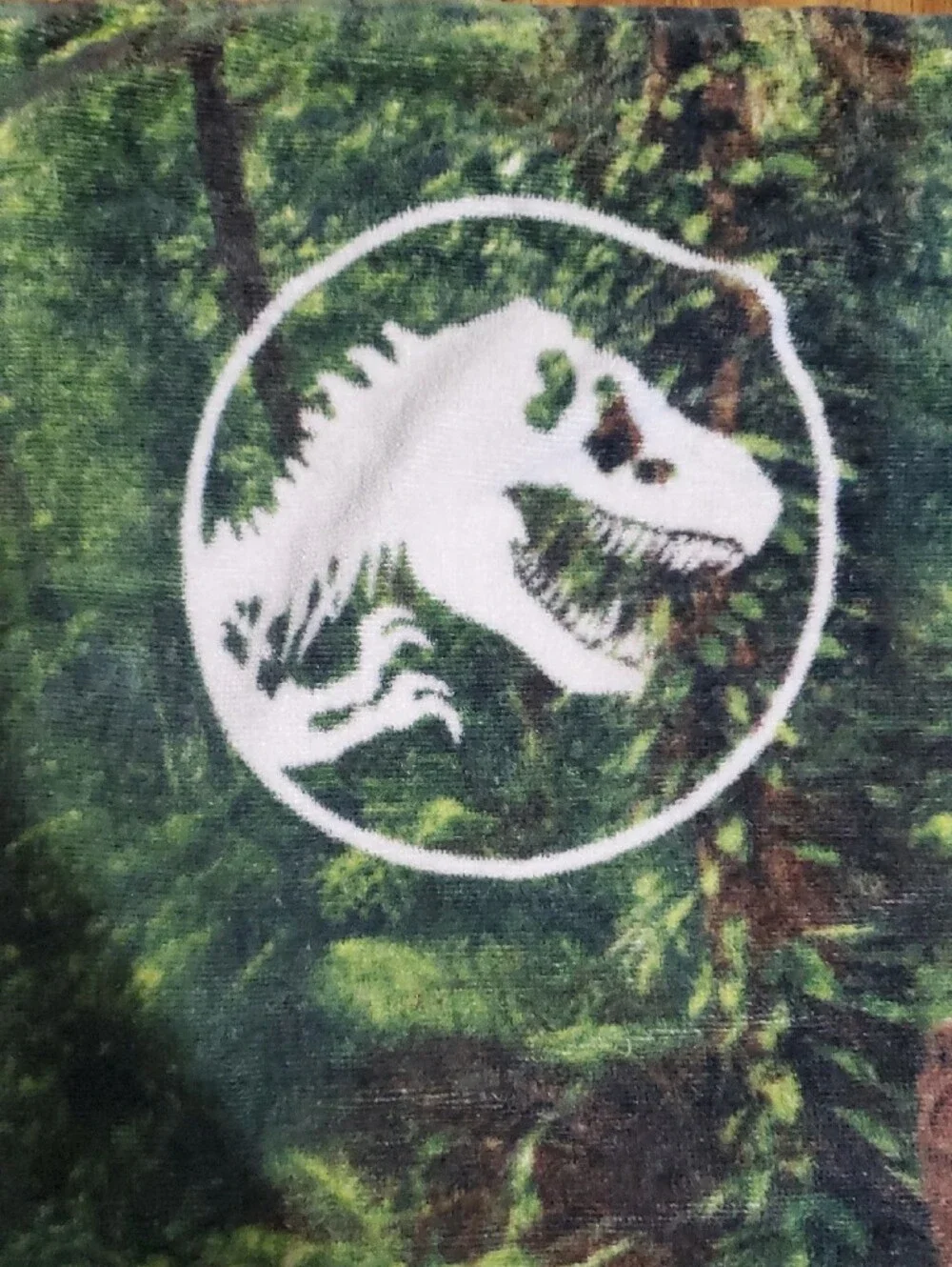 Jurassic World Dinosaur Beach Towel Bath Towel